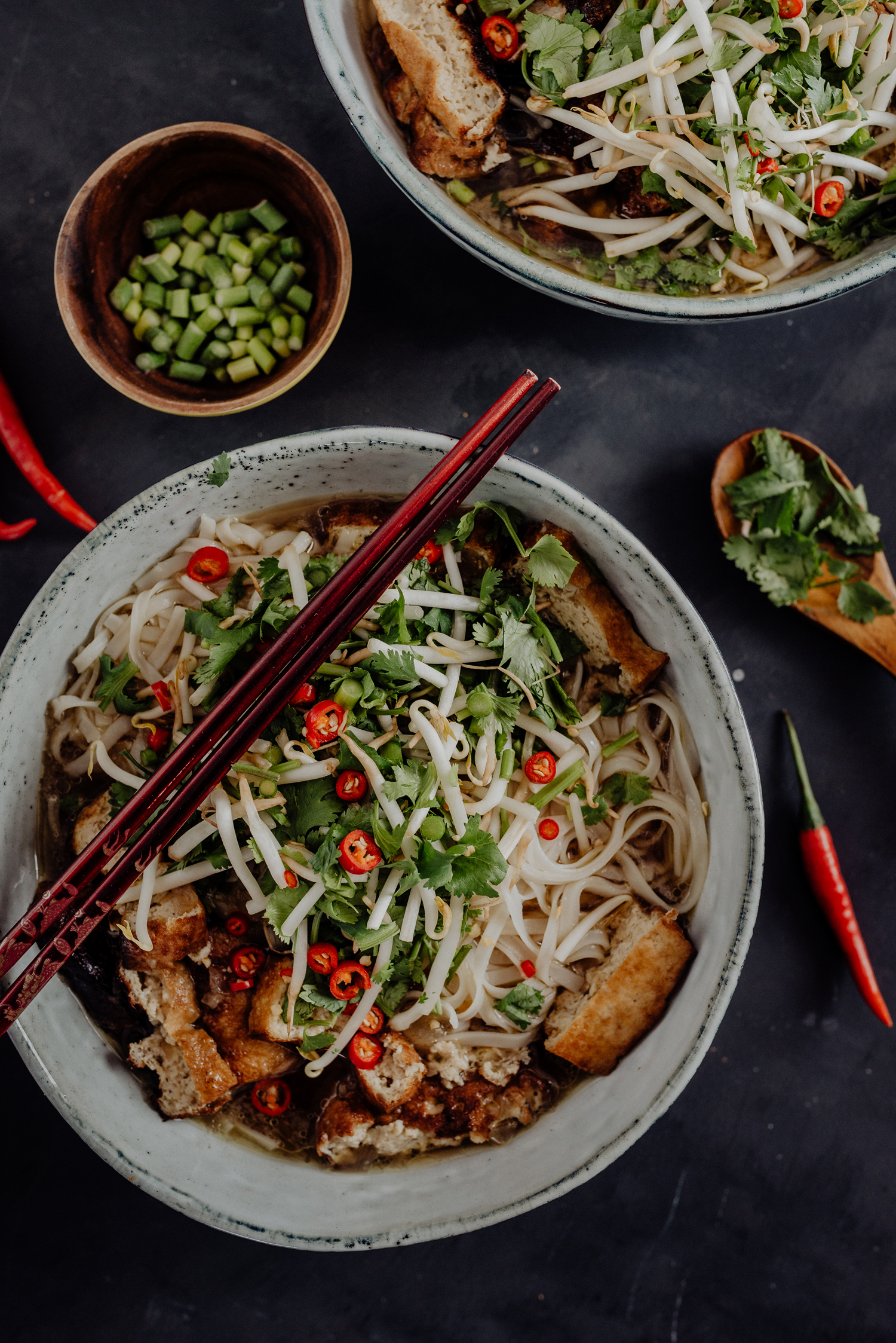 simone-fuerst-fotografie-food-vegan-pho-suppe-vietnam